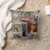 サンバの家2005年 クッション (ブランケット)