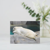 サンバザーも ポストカード (スタンド正面)