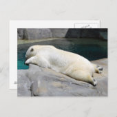 サンバザーも ポストカード (正面/裏面)