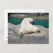 サンバザー ポストカード (正面/裏面)