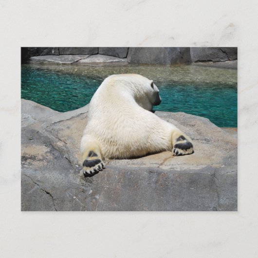 サンバザー ポストカード (正面)