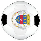 サンバルテルミー旗 サッカーボール (回転)
