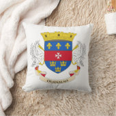 サンバルテレミー国旗 クッション (ブランケット)