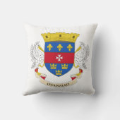 サンバルテレミー国旗 クッション (裏面)