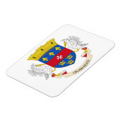 サンバルテレミー国旗 マグネット (左側)