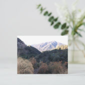 サンバーナーディーノ山脈 ポストカード (スタンド正面)