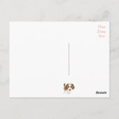 サンバーナード犬のポストカード ポストカード (裏面)