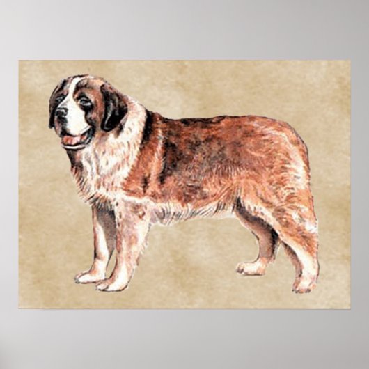 サンバーナード ポスター (正面)