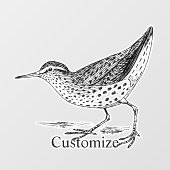 サンパイパーショアバード雷鳴_入り ウィンドウサイン (シート)