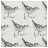 サンパイパーショアバード雷鳴_入り ファブリック (見本)