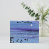 サンパイパー ポストカード (スタンド正面)