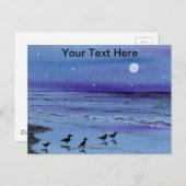 サンパイパー ポストカード (正面/裏面)