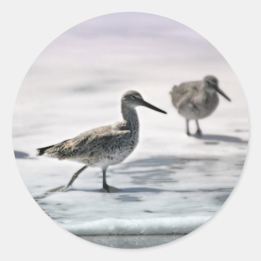 サンパイパー ラウンドシール (正面)