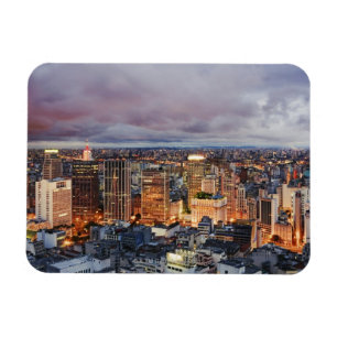 サンパウロの都市景観 マグネット