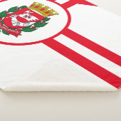 サンパウロ市旗 シェルパブランケット (3/4)