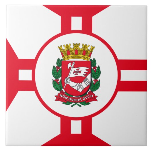 サンパウロ市旗 タイル (正面)