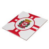 サンパウロ市旗 タイル (側面)