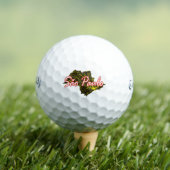 サンパウロ ゴルフボール (インサイチュ 木)