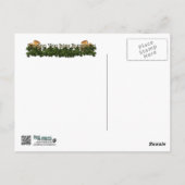 サンパツデイ – ゴールデンドードルズ – サディとイジー ポストカード (裏面)