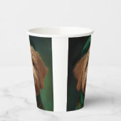 サンパトリックのデイドレスのゴルデンドルドッグ 紙コップ (左)