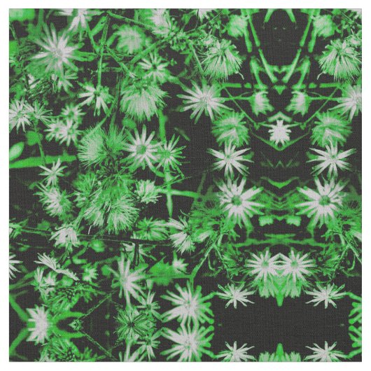 サンパトリックデイジー ファブリック (クローズアップ)