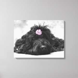 サンパーポートレート キャンバスプリント