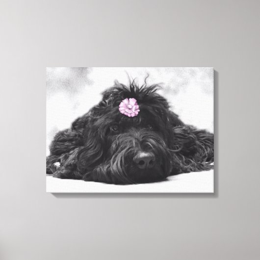 サンパーポートレート キャンバスプリント (正面)