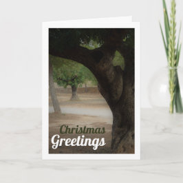 サンビセンテパークリリアバレンシア カード