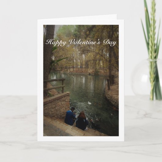 サンビセンテ公園で鴨に餌を与えるカップル カード (正面)