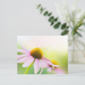 サンビームがあなたを見つけるまで ポストカード (スタンド正面)