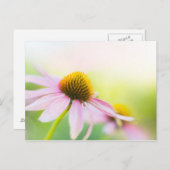 サンビームがあなたを見つけるまで ポストカード (正面/裏面)