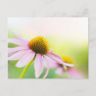 サンビームがあなたを見つけるまで ポストカード