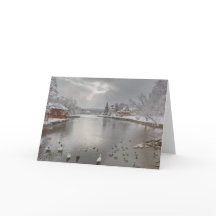 サンビームはアヒルの池を受け入れる