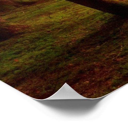 サンビーム森林 ポスター (角)