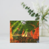 サンビーム調和詩はがき ポストカード (スタンド正面)