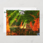 サンビーム調和詩はがき ポストカード (正面/裏面)