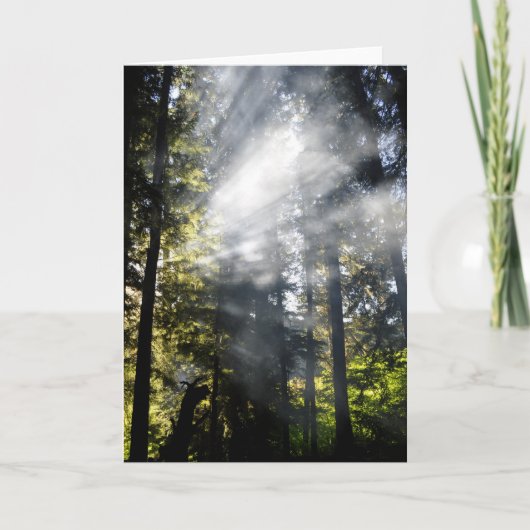 サンビーム カード (正面)