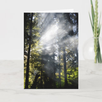 サンビーム カード