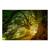 サンビーム ポスター (正面)