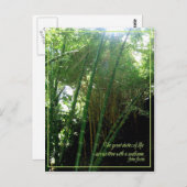 サンビーム ポストカード (正面/裏面)