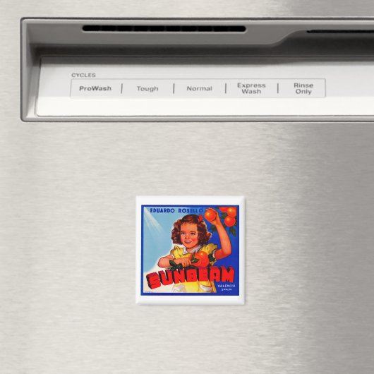 サンビーム マグネット (インサイチュ (食洗機))