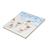 サンピパーズオンオールドオーチャードビーチ タイル (側面)