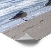 サンピパーズオンビーチ ポスター (角)