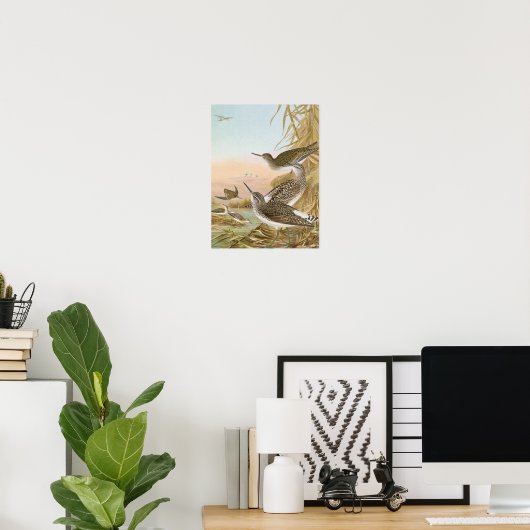 "サンピパーズ"ヴィンテージバードイラストレーション ポスター (ホームオフィス)