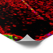 サンピン ポスター (角)