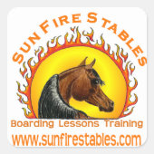 サンファイアスタブル スクエアシール (正面)