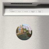 サンファンプエルトリコ マグネット (インサイチュ (食洗機))