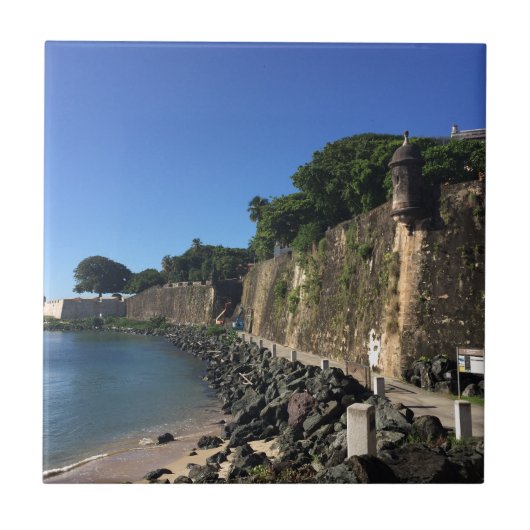 サンファン古い歴史的場所 タイル (正面)