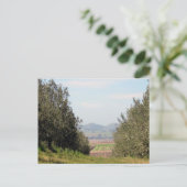 サンファン見落としの谷 ポストカード (スタンド正面)