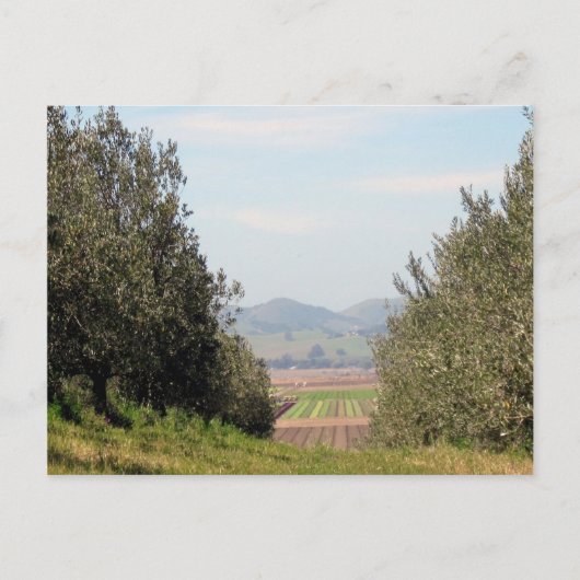 サンファン見落としの谷 ポストカード (正面)